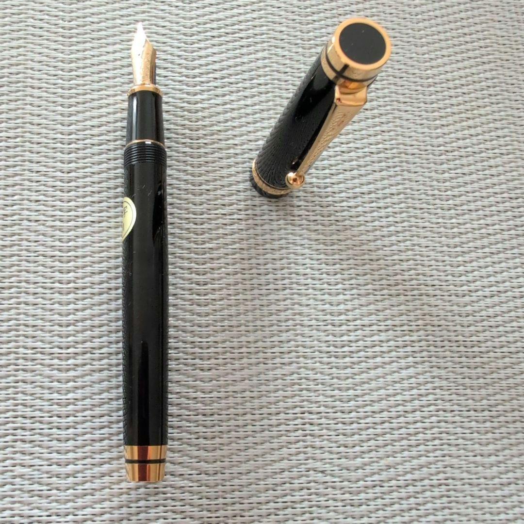 【新品未使用】MARUZEN 120 万年筆 黒