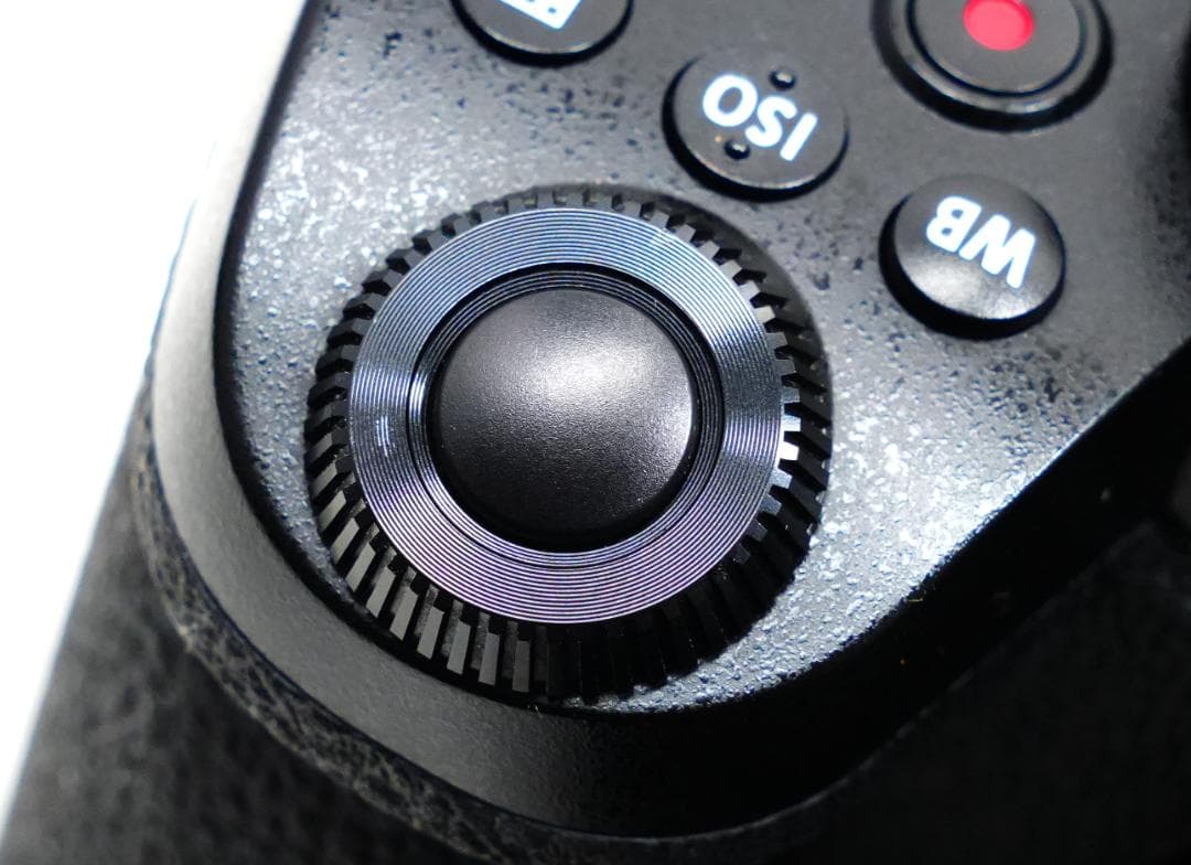 1456ショット　Panasonic LUMIX G99D ボディ＋グリップ美品