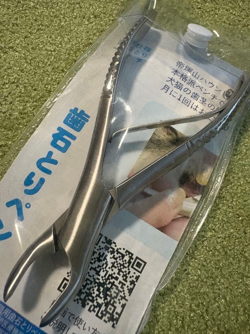 犬用歯石取りペンチ ステンレス製