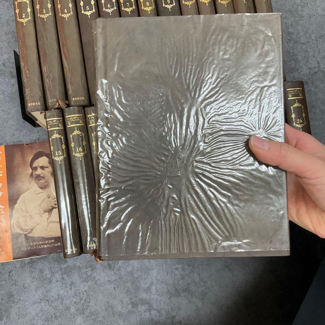 N*a様 バルザック全集　26冊セット　東京創元社