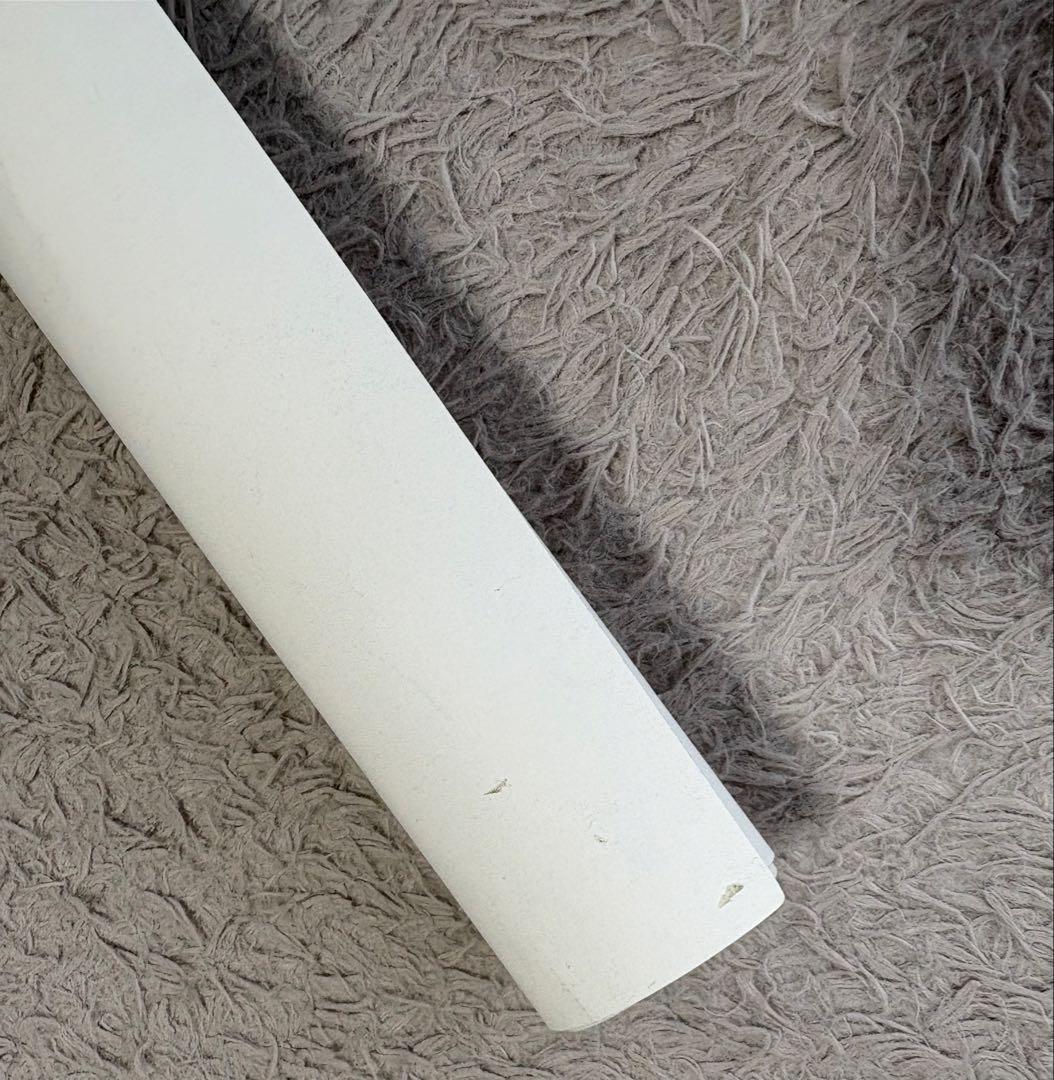 ゆず☆FURUSATO☆直筆サイン入りポスター☆北川悠仁・岩沢厚治☆レア