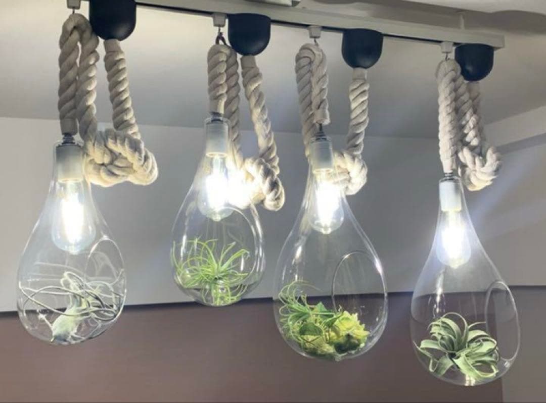 BOTANIC HANGING LIGHT ボタニックハンギングライト4個セット
