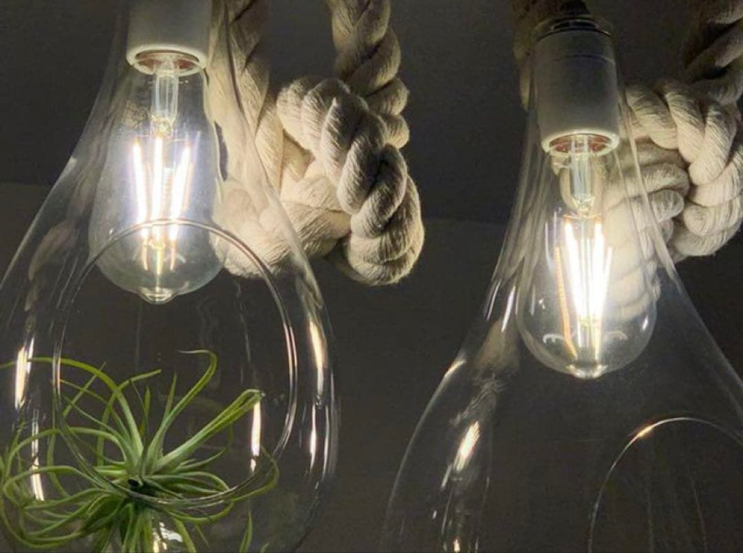 BOTANIC HANGING LIGHT ボタニックハンギングライト4個セット