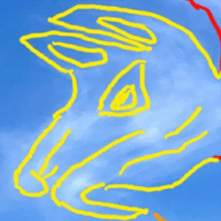 A3判『三神一体 神々の集い』大きく翼を広げた鳳凰様の尾羽が 龍神様 お稲荷様に