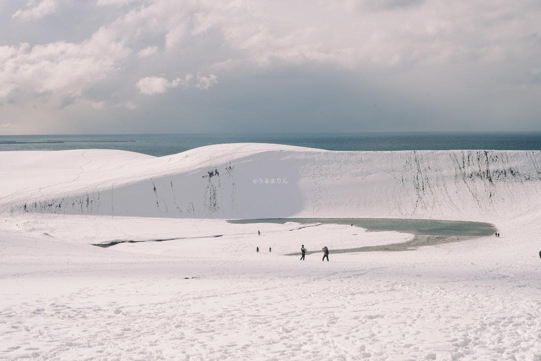 yu様　黄変なし光学美品！PENTAX Super-Takumar 55mm