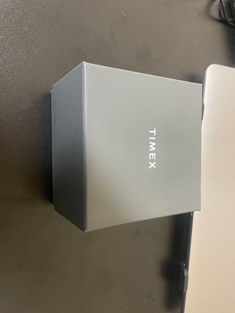 TIMEX Reissue 1983 シルバー　ブルー