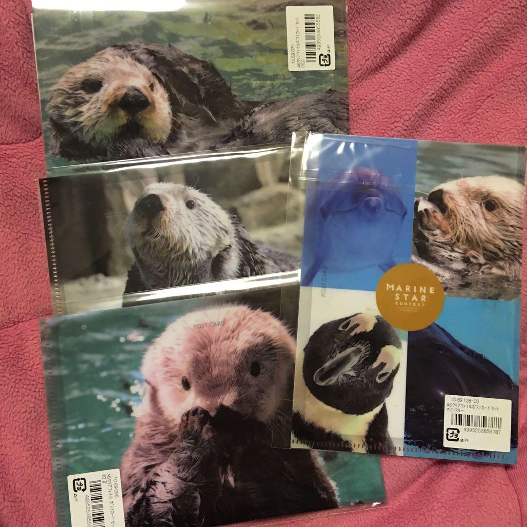 マリンワールド　A6クリアファイル　ポストカード　ラッコ　4点セット