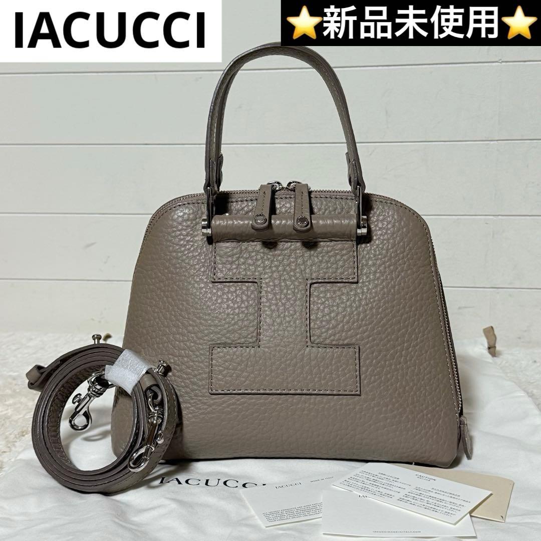 ⭐️新品未使用⭐️　イアクッチ　ギブリ　S ALCE 2way　ハンドバッグ