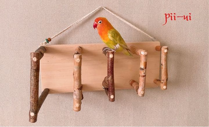 ピョンピョン5（ファイブ）☆2WAYおもちゃ付き♪