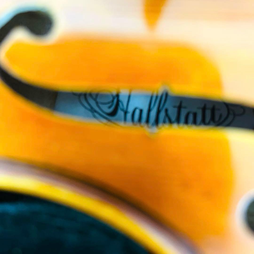 Hallstatt ハルシュタット バイオリン 1/4 ケース付　弓おまけ付