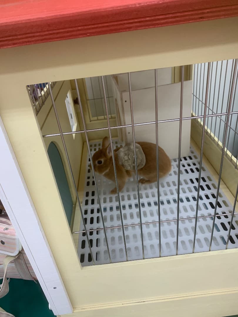 【もちつき】壱番館　北欧デザインペットハウス　うさぎ用ケージ　可愛い