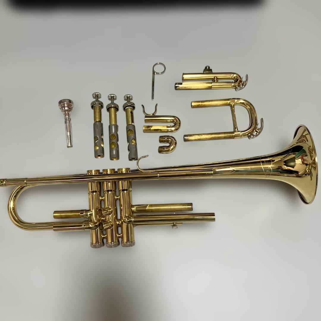 トランペット　本体　付属品　ケース　セット　ミュート付き　模様入り