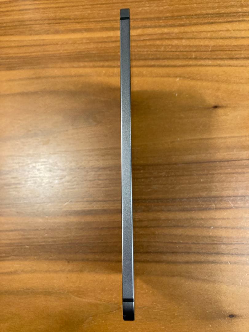 iPad本体 Apple iPad mini Wi-Fi+Cellular 256GB