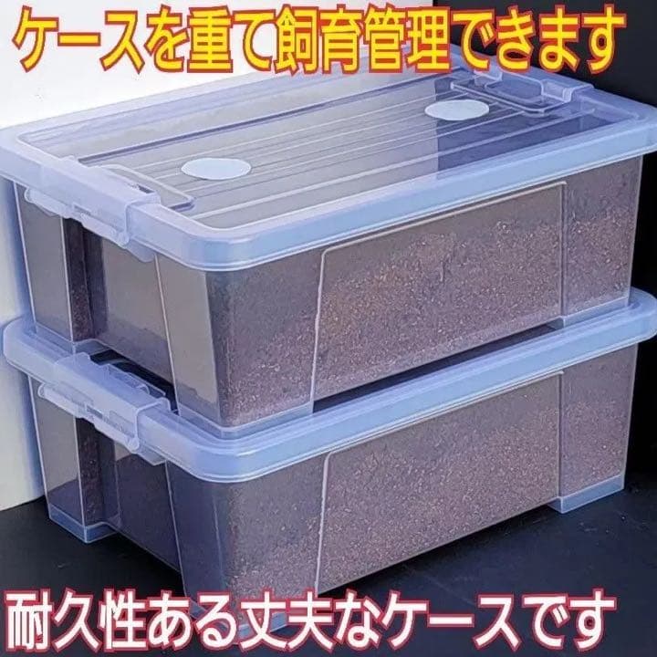 【4セット】10リットルケース入☆プレミアム発酵カブトムシマット☆幼虫入れるだけ