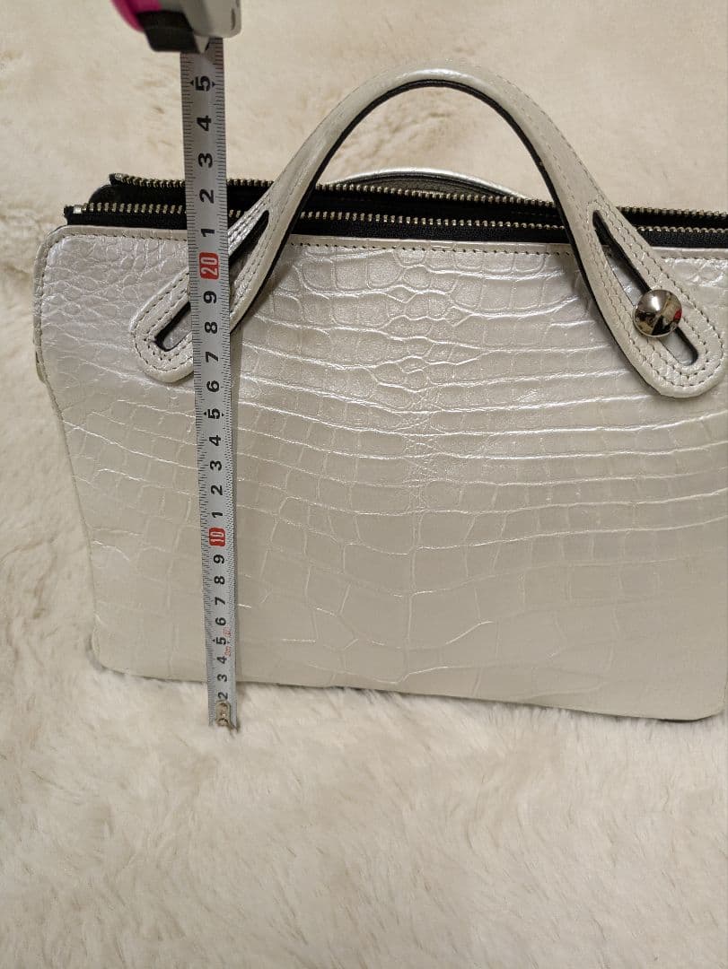 クロコダイル皮革　2wayハンドバッグ