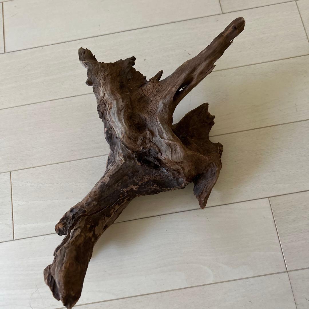 爬虫類飼育ケージ　ガラス製の飼育ケージ、メッシュ蓋付き　流木のおまけ付き❗️