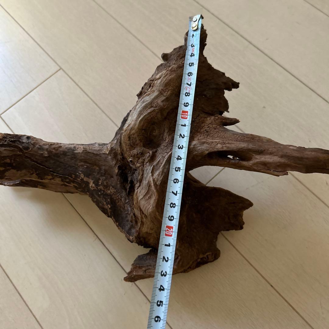 爬虫類飼育ケージ　ガラス製の飼育ケージ、メッシュ蓋付き　流木のおまけ付き❗️