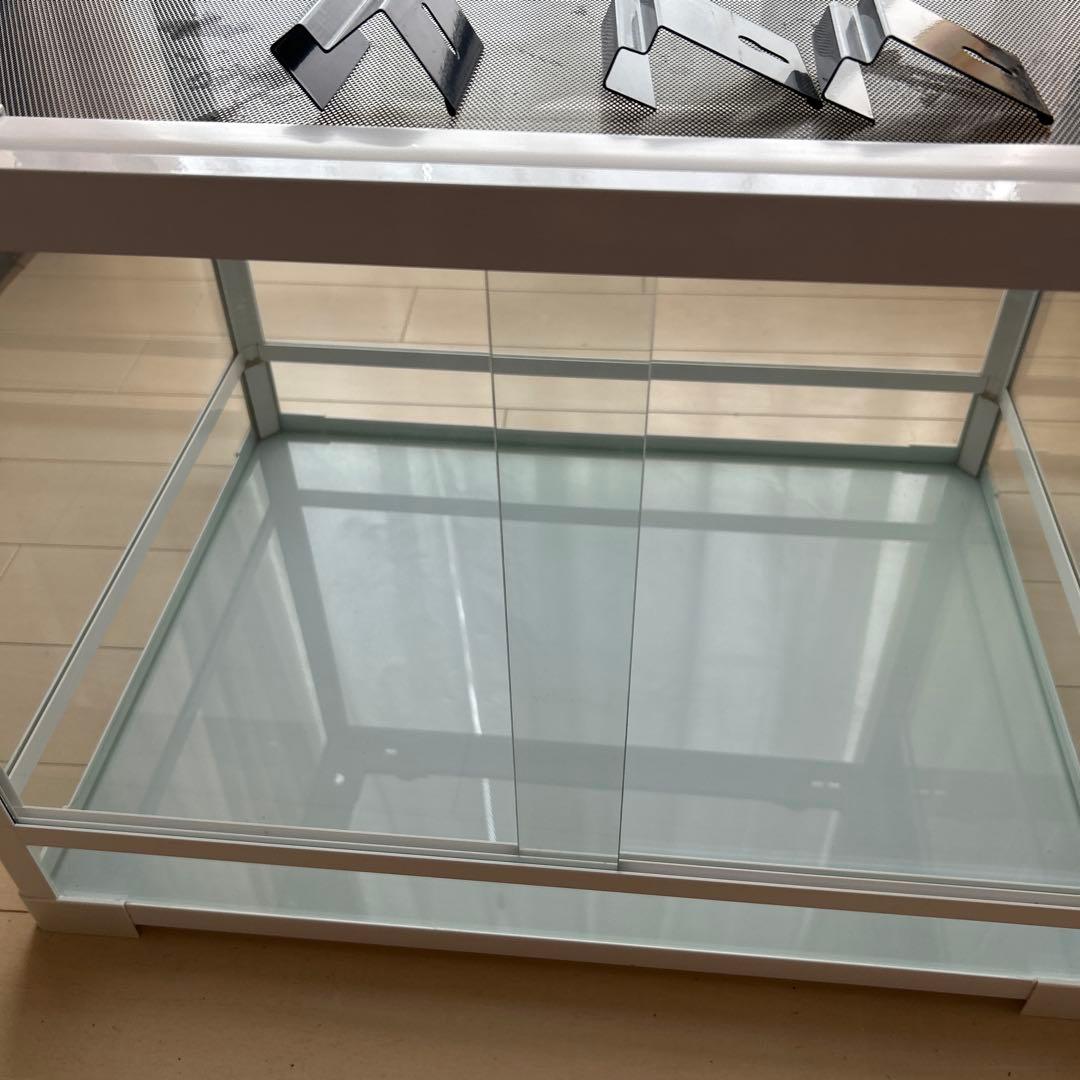 爬虫類飼育ケージ　ガラス製の飼育ケージ、メッシュ蓋付き　流木のおまけ付き❗️