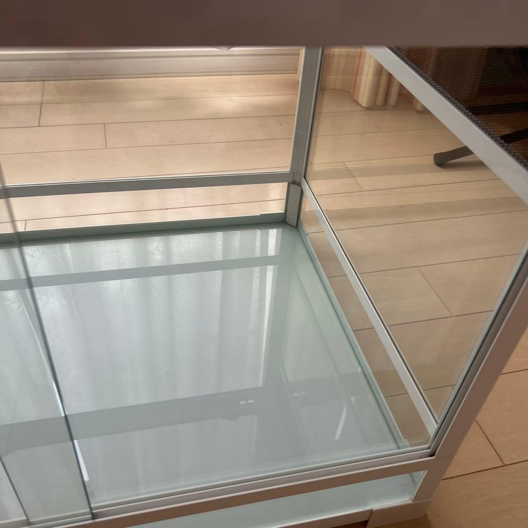 爬虫類飼育ケージ　ガラス製の飼育ケージ、メッシュ蓋付き　流木のおまけ付き❗️