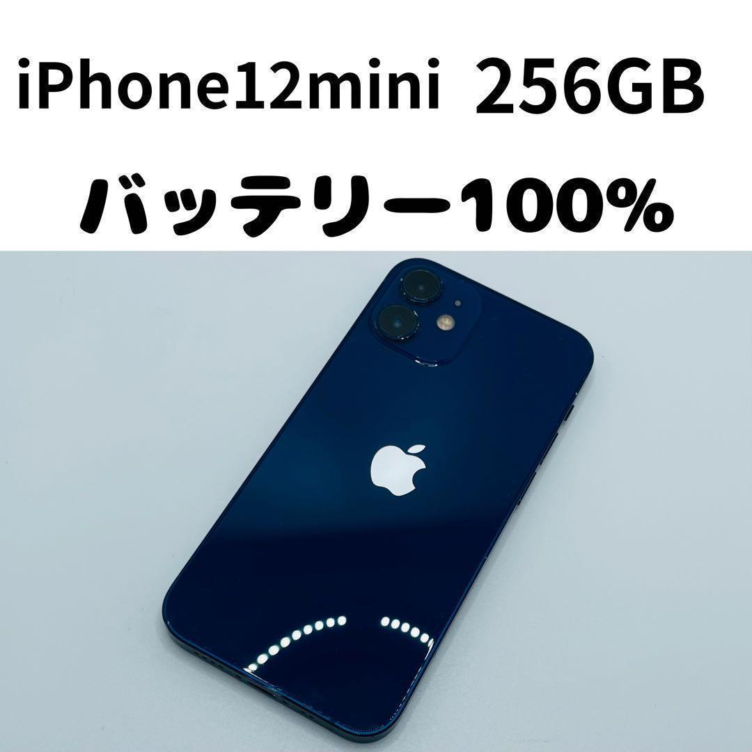 【格安美品】iPhone 12mini 256GB simフリー本体 293