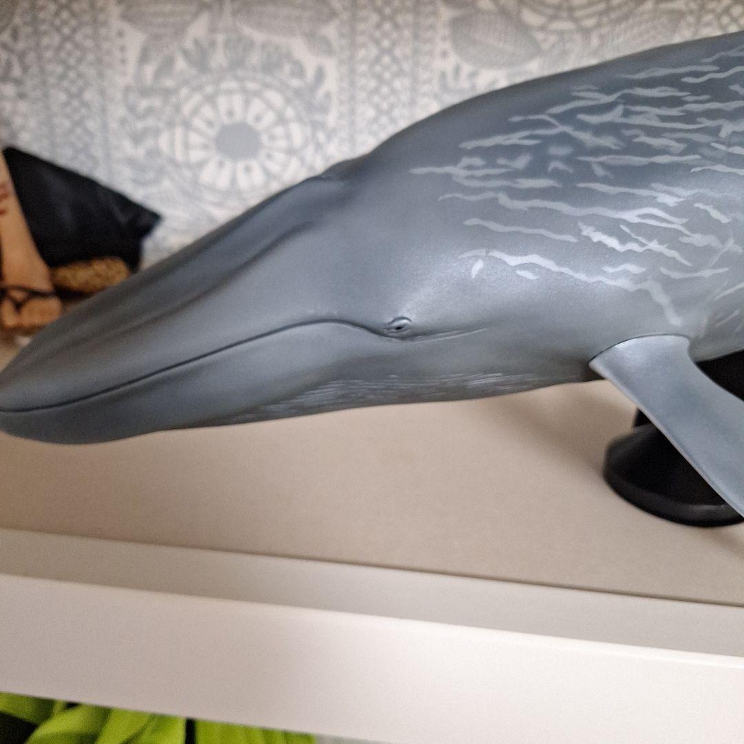 海洋堂 巨大フィギュア 全長70cm以上! シロナガスクジラ