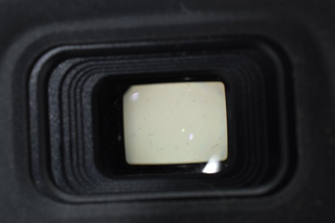 Nikon D5000 レンズキット 動作良好 付属品多数 初心者OK