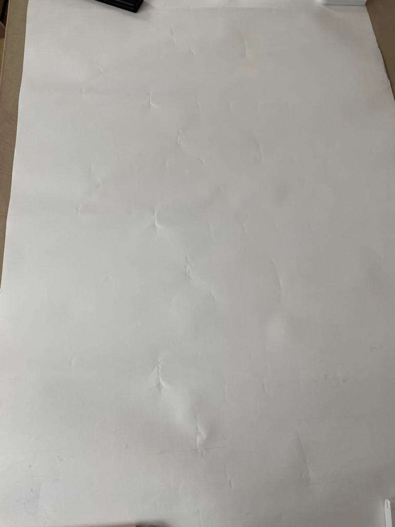 西野カナ 直筆サイン入りポスター with LOVE