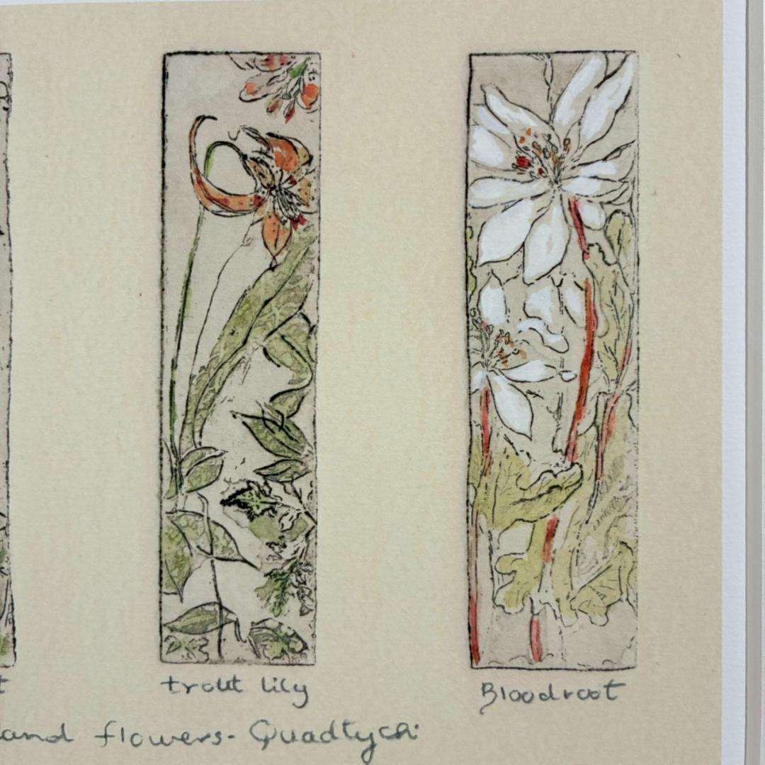 美品 ジョアン・アイザック「Wood～/森の花々」ジクレー 直筆サイン・保証書有