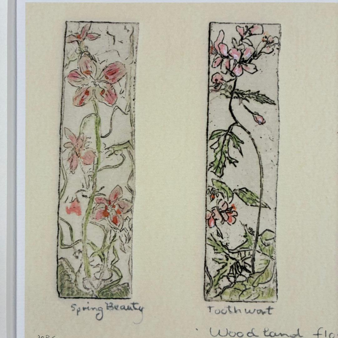 美品 ジョアン・アイザック「Wood～/森の花々」ジクレー 直筆サイン・保証書有