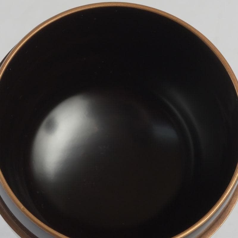 茶道具　黒漆　鶴蒔絵　中棗　共箱　V　9690