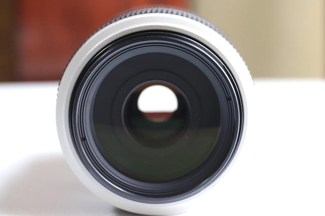 キヤノンレンズ　EF70-300ｍｍＦ4-5.6Ｌ ＩＳ ＵＳＭ
