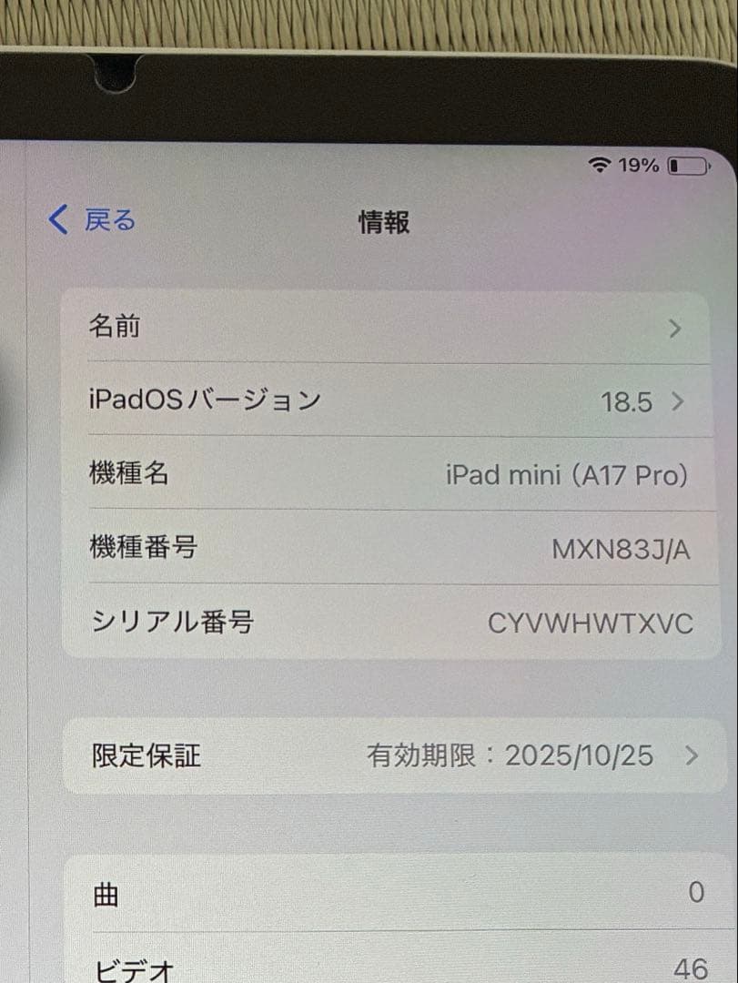 iPad miniA17 Pro Wi-Fi 128GBスターライト　極美品