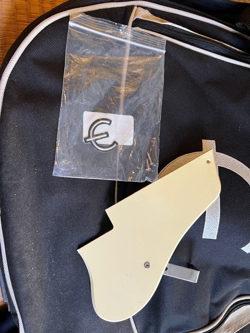 Epiphone Jack Casady Bass ゴールドトップセミアコベース