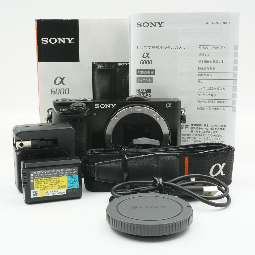 ■極上品■ SONYα6000 ブラック #40006