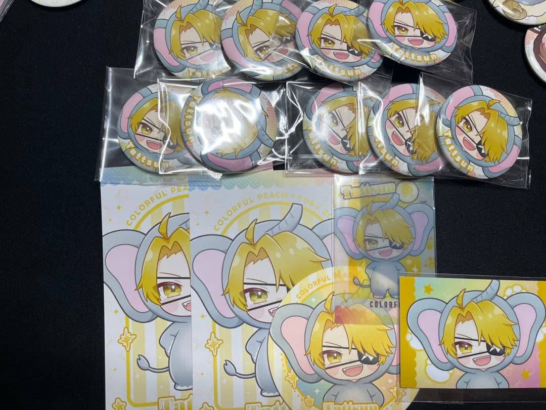 たっつん　東武動物公園セット