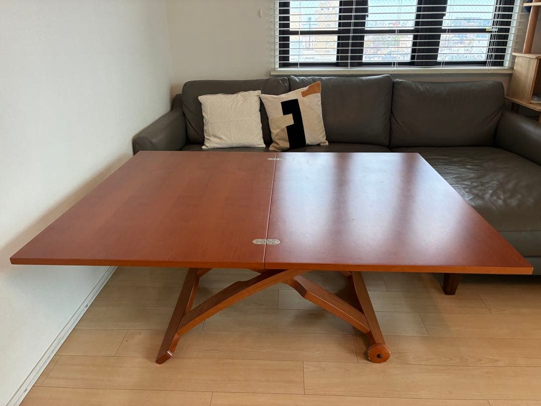 シンタロウ様　送料込み　カリガリス コヌビア マスコッティ テーブル