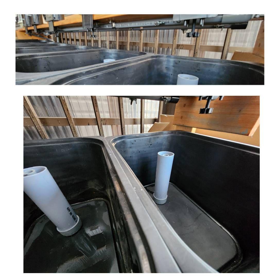 【送料込み】めだか　オーバーフロー型ブリード(育成)台　セット　メダカラック