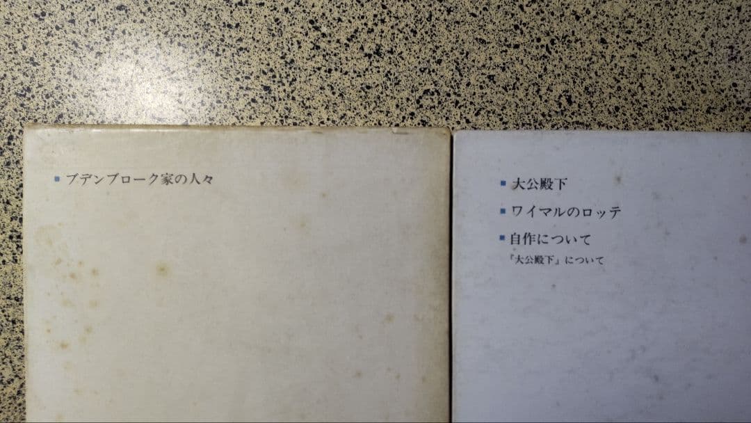 トーマス・マン全集/全13冊セット/書き込みなし/防水梱包