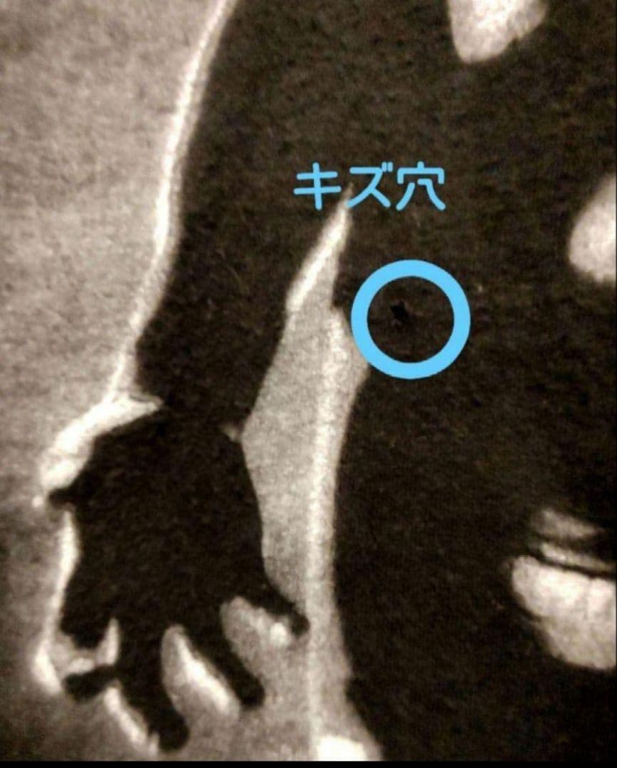 1995©Ozzy Osbourne”OZZMOSIS” XL Vintage