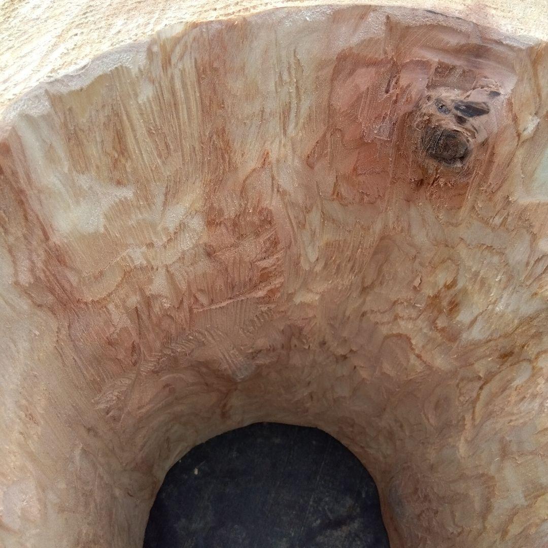 みつばち、昆虫飼育用 中空洞木材 杉材 樹洞 くり抜き 丸洞