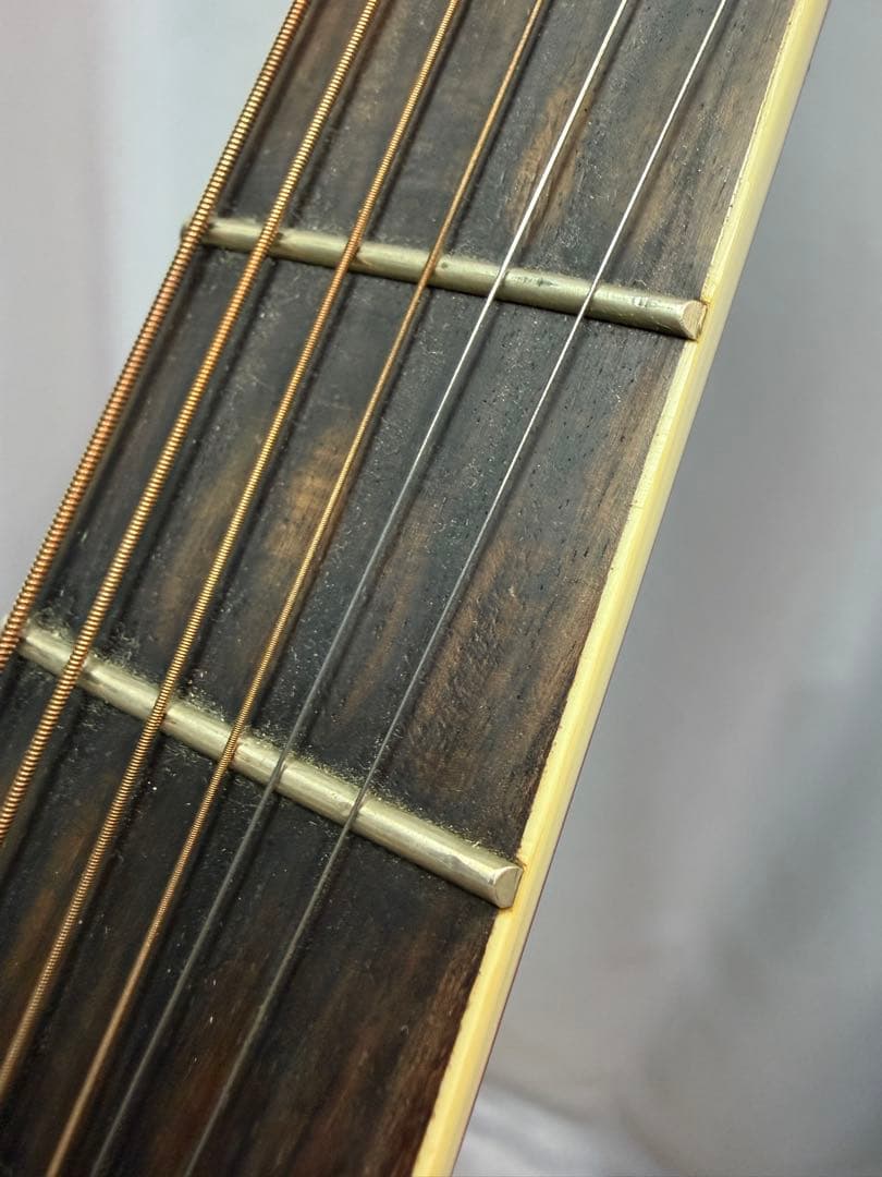 JAMES アコースティックギター JF400/LRB