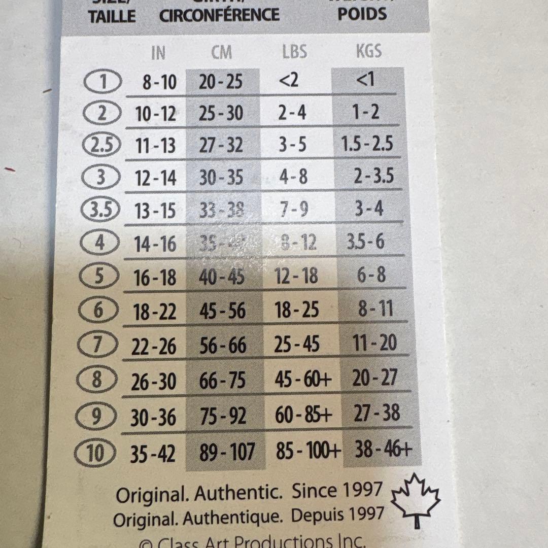 BUDDY BELT （ブルージーン）５号 スワロフスキー付　リードセット