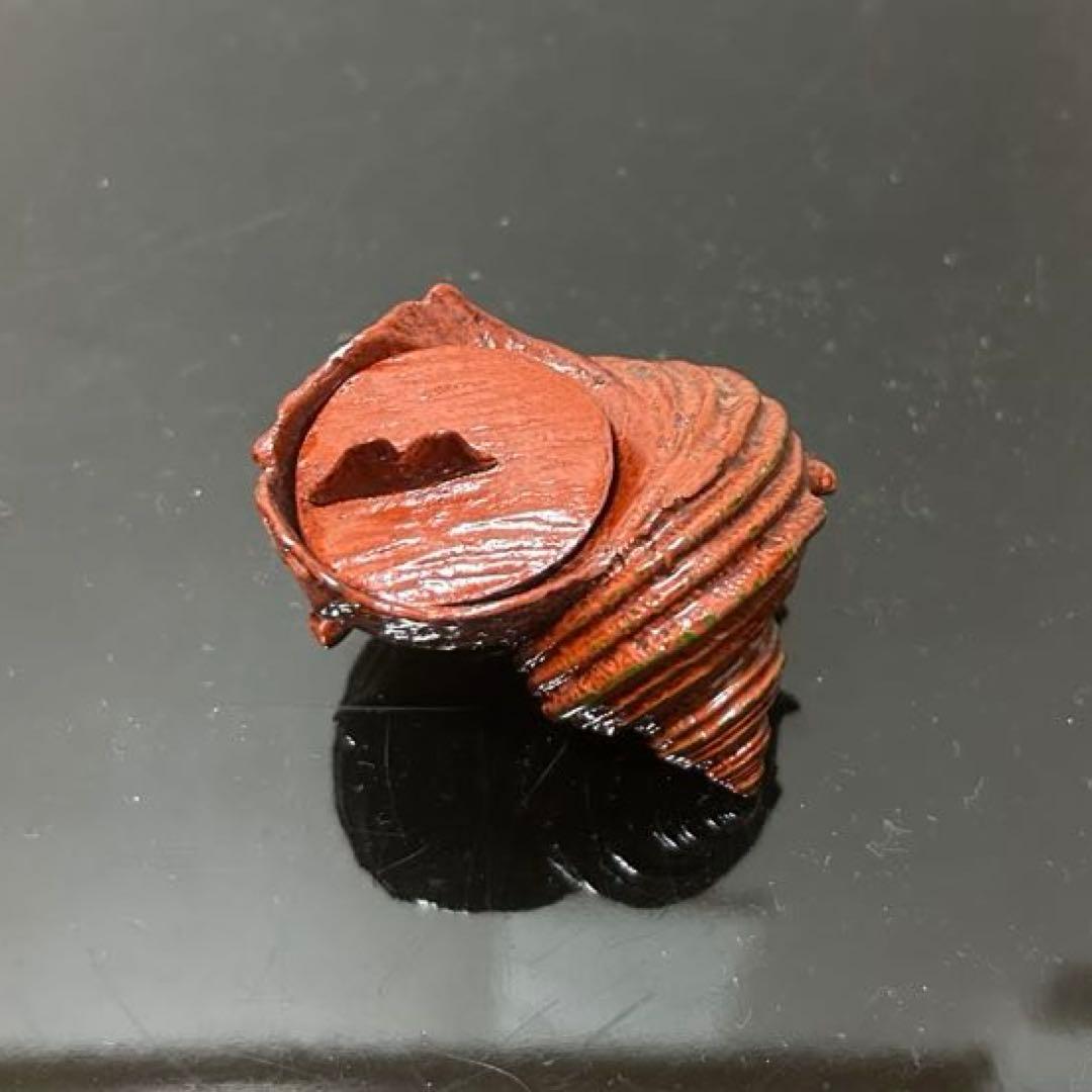 川瀬表完　天然胎さざえ香合　茶道具懐石茶箱鵬雲斎坐忘斎淡々斎即中斎茶碗水指茶杓棗