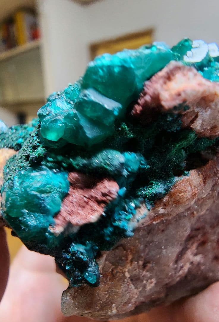 ディオプテーズ（翠銅鉱）母岩付きクラスター