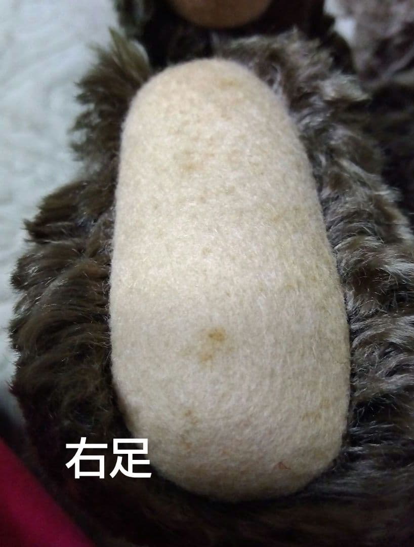 シュタイフClassic テディベア