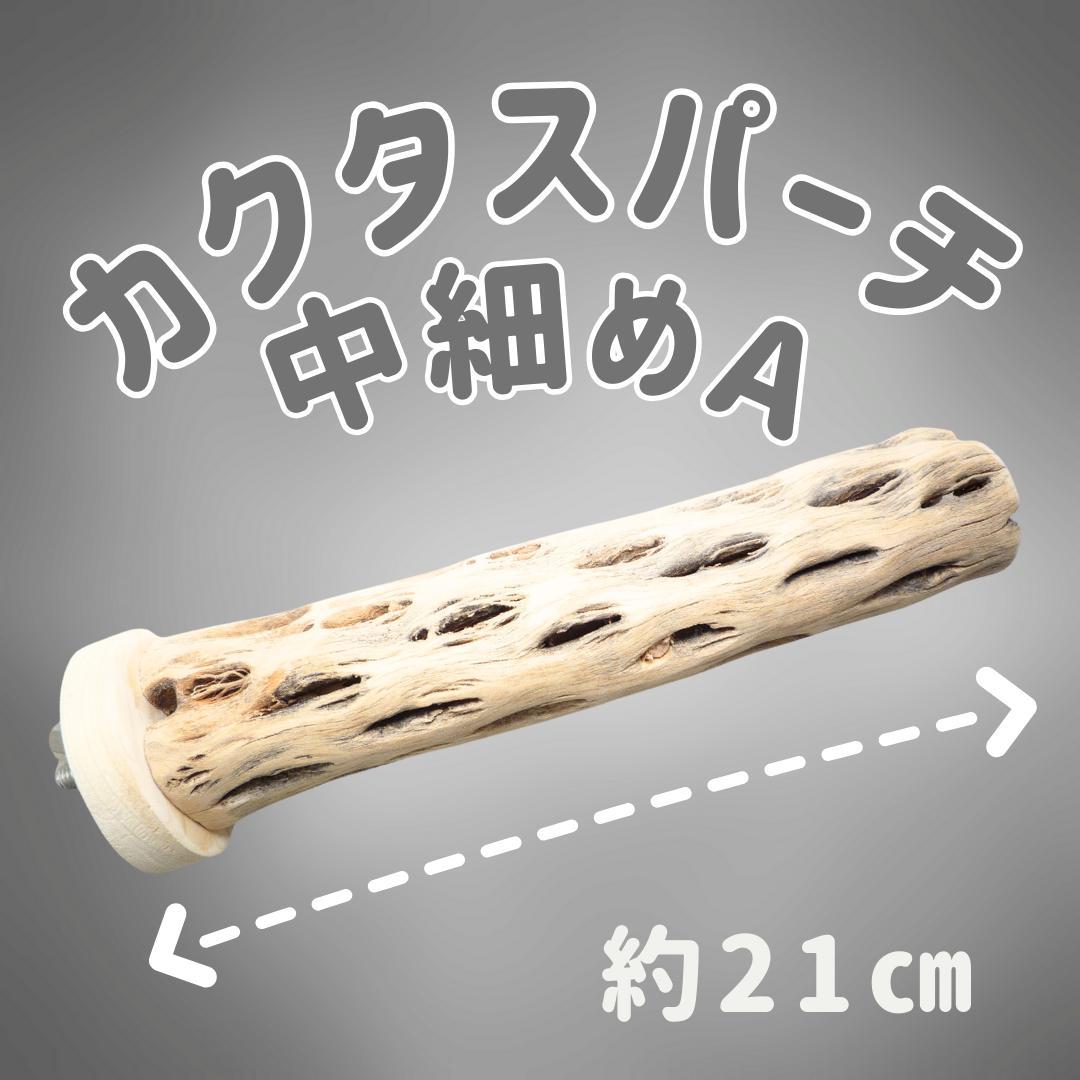 user_60ebcae4　止まり木　カクタススケルトン　パーチ