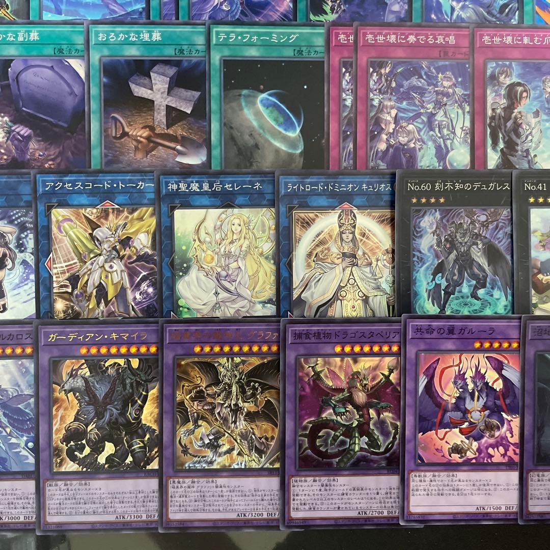 優勝構築 未界域ティアラメンツデッキ シェイレーン ケルドウ 未界域のネッシー