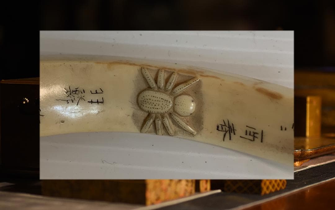 ●石見根付 ●蜘蛛 ●猪牙 古牙 獣牙 時代物 骨董 いのしし