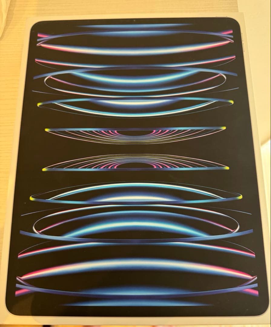 iPad Pro 12.9インチ第6世代Wi-Fi +Cellular 1TB