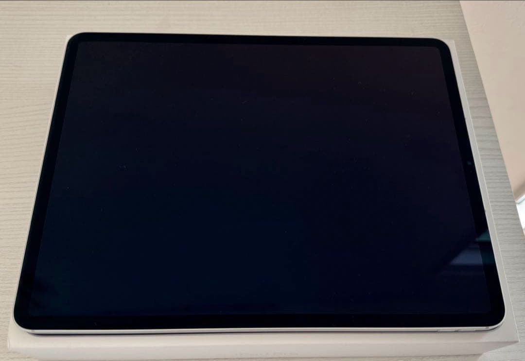 iPad Pro 12.9インチ第6世代Wi-Fi +Cellular 1TB